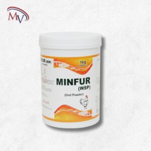 Minfur WSP
