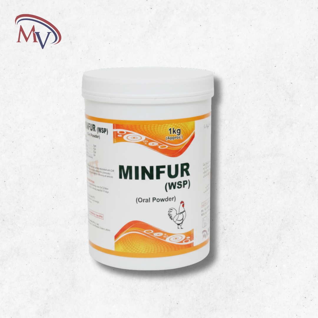 Minfur WSP